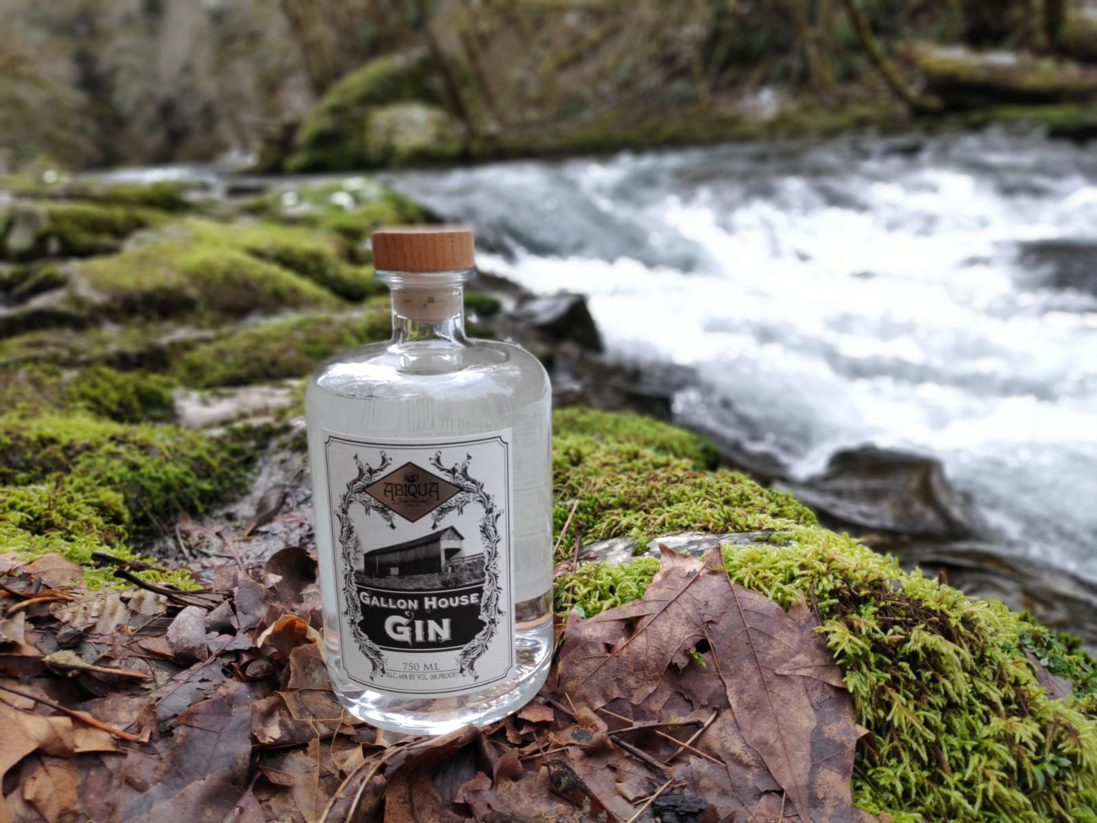 Gallon House Gin bottle on a mossy rock beside Abiqua Creek